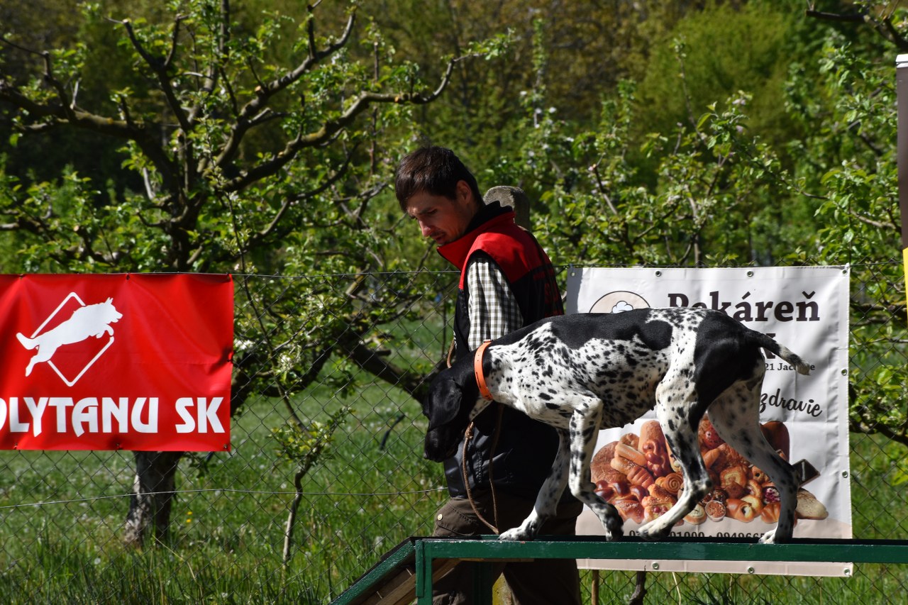 DSC_0024_1280x853.JPG